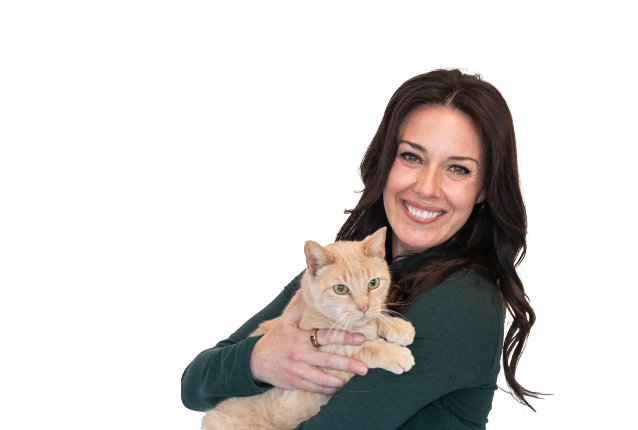 Veterinarian holding two small dogs