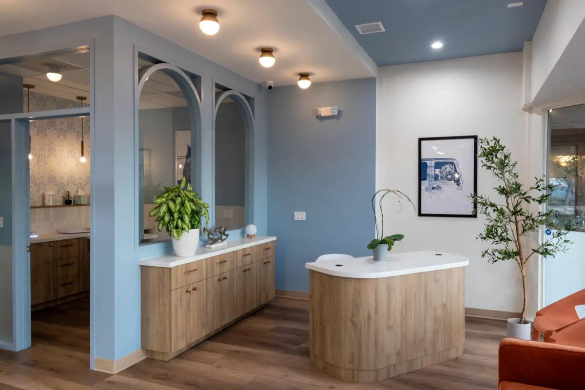 The UrgentPaws lobby and reception desk