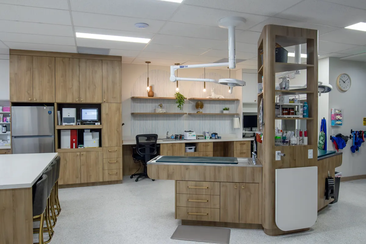 The UrgentPaws treatment area, open to the exam rooms