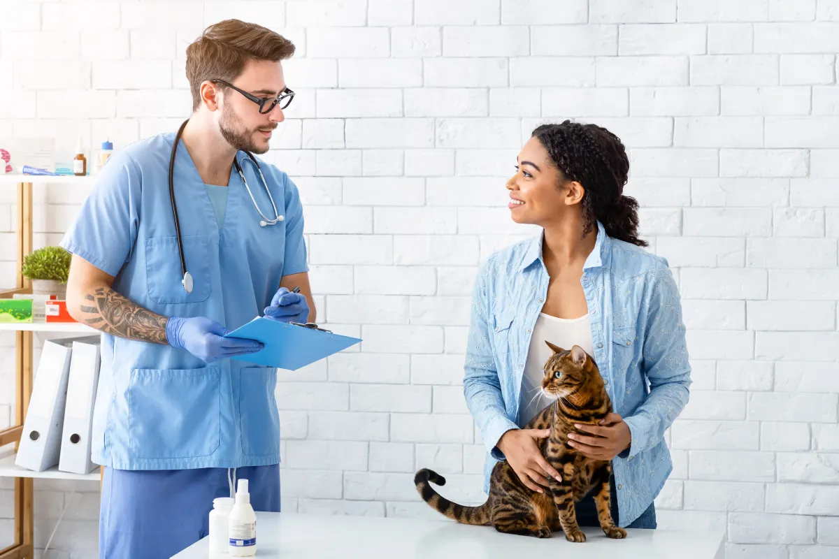 A veterinarian going through the plan with a cat’s owner