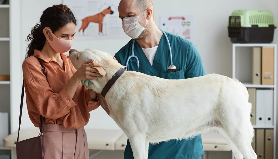 Veterinarian with pet owner and dog