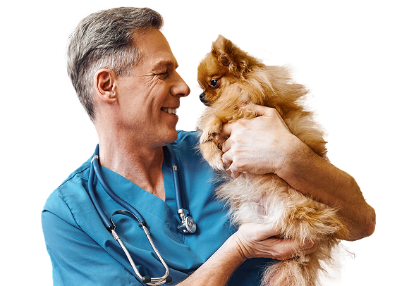 Veterinarian holding small cat